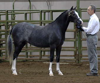 Posh O You Beautiful Doll