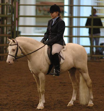 Posh Opposites Attract