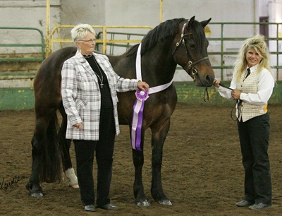 North Forks Lady Violet AOE LOM