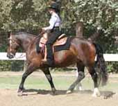 North Forks Lady Violet